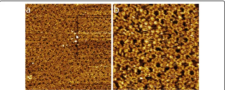 Fig. 8 Molecular assembly at high concentrations. Large-scale STM images, a 100 × 100 nm 2 ; b 40 × 40 nm 2 ; V s = 0.6 V, I t = 400 pA.