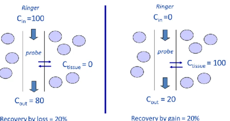 Figure I.1: Illustration of probe recovery determination methods. With the recovery by drug method,  drug recovery by loss is typically determined first, that is before treatment initiation, in order to ensure  that there is no drug within tissue
