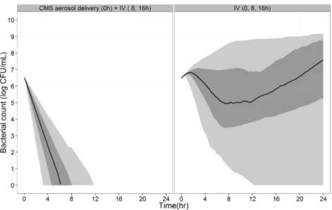 FIG 5 Predicted bacterial count over time after CMS aerosol delivery (2 MIU followed by 2 MIU i.v