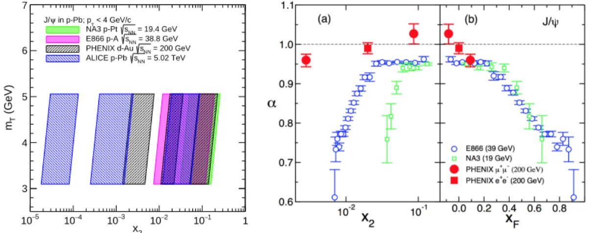 Figure 1.6: Left: x-range probed by NA3, E866, PHENIX and ALICE experiments by assuming x 2 = m T / √