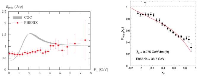 Figure 1.7: Left: J/ψ nuclear modification factor as a function of p T 1.2 &lt; y &lt; 2.2 at PHENIX compared to a CGC model [38]