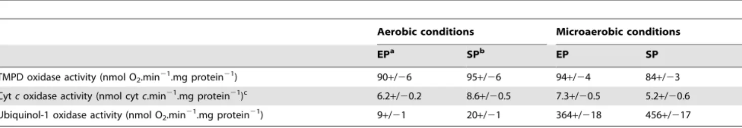 Figure 3. Identification of cytochrome c oxidase(s) in S. oneidensis MR-1 membranes under aerobic and microaerobic conditions