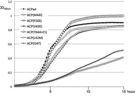 Figure 5. Growth of the ACP mutant strains. Strain MG1665DacpP::kana R complemented by the pKO3-acpP mutant series was grown overnight at 30uC in LB containing Chloramphenicol