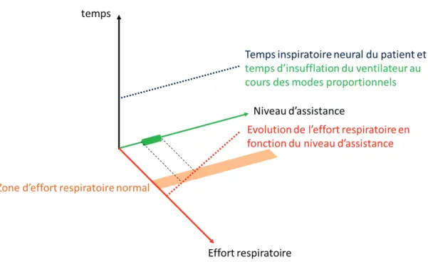 Figure  11  Interactions  patient-ventilateur  au  cours  des  modes  proportionnels.  Les  modes  proportionnels  sont caractérisés par un temps d’insufflation très proche du temps inspiratoire neural du patient quelque soit le  niveau  d’assistance