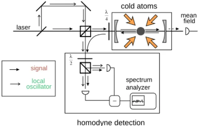 Fig. 1. – Experimental set-up designed to study the quantum fluctuations of a probe beam that has interacted with cold atoms in a nearly single-ended cavity.