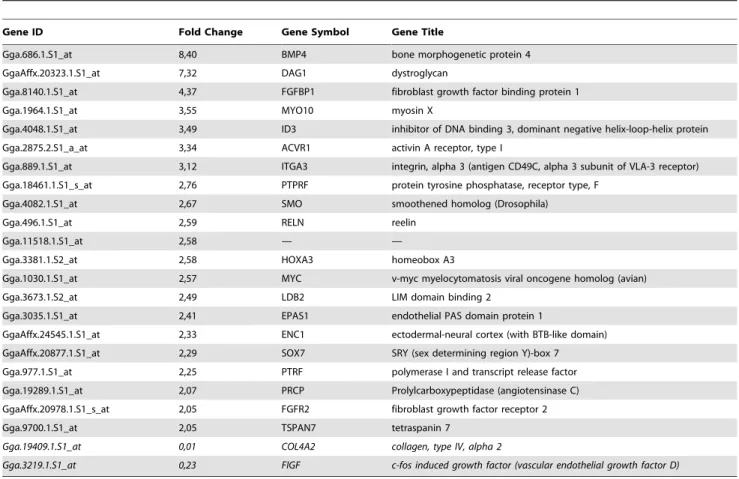 Table 2. Selected regulated genes during the intermediate phase of CAM development (E7 to E10).