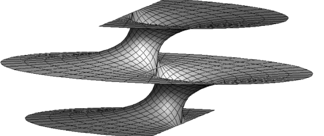 Figure 1. Surface minimale simplement priodique de Riemann .