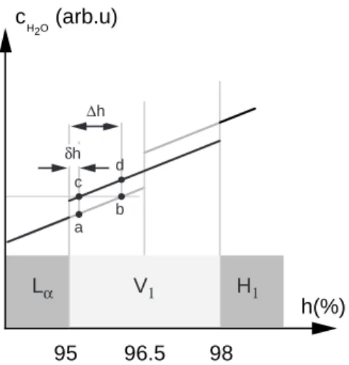 Fig. 1.8 : Concentration en eau c dans la phase en fonction de l’humidit´e h `a temp´erature fix´ee