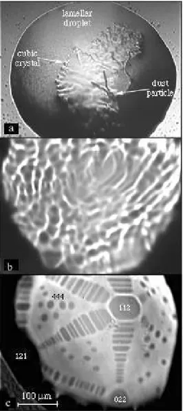 Fig. 1.9 : Facettage d’un monocristal obtenu par croissance dendritique rapide, sur un substrat de verre hydrophobe (h = 96%)
