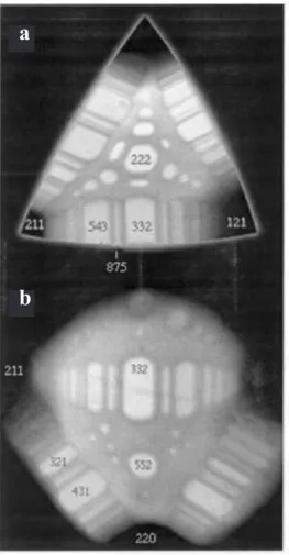 Fig. 1.10 : Vues d’un monocristal facett´e sur substrat de verre hydrophobe L’angle de contact est de l’ordre de 30˚