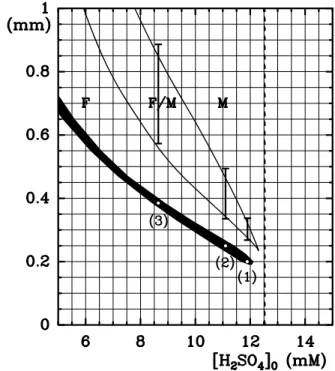 Fig. 4. Oscillations of size l and of [H + ] at the fixed wall for point (2) in Fig. 3)