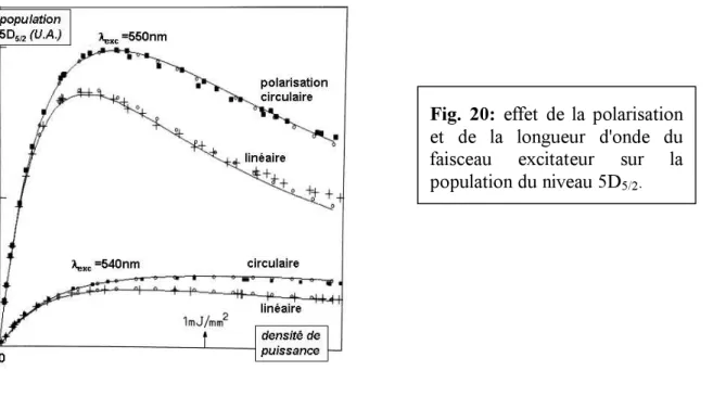 Fig. 2 0 : e f f e t  d e  l a  p o l a r i s a t i o n   e t   d e   l a   l o n gue ur   d ' o n d e   d u  f a i s c e a u  e x c i t a t e ur   s ur   l a   p o p ul a t i o n  d u n i v e a u 5 D 5/2 