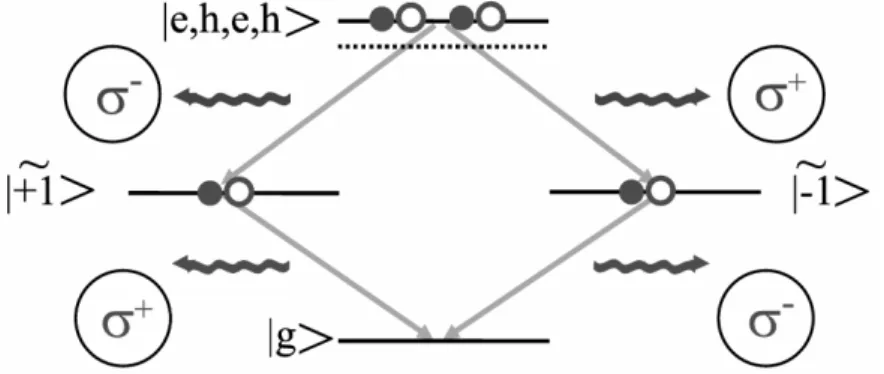 Fig. I.1.7 – Génération d’états de Bell intriqués en polarisation à partir de la cascade entre états à deux paires (biexciton) et états à une paire électron-trou (exciton).