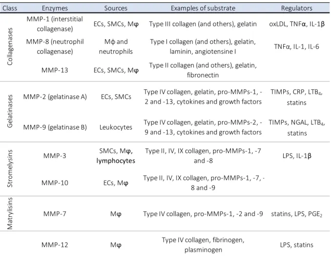 Table 1 recapitulates the activities and sources of the main MMPs involved in plaque weakening