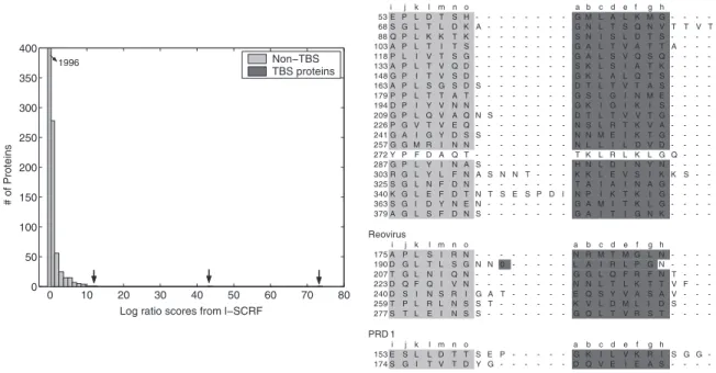 FIG. 5. (Left) Histograms of the cross-validation scores generated by the conditional graphical models on positive examples, i.e., known triple b-spirals (dark bar with arrow indicator) and negative examples, i.e., PDB-select set (light bars)