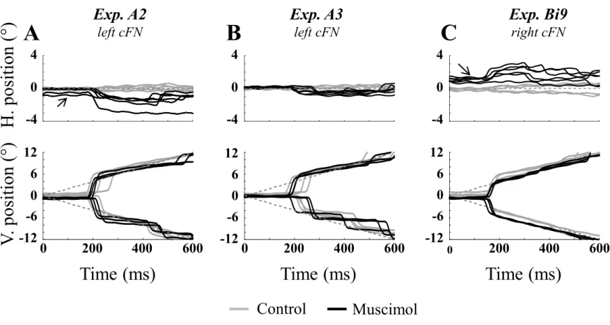 Fig. 1 Exp. Bi9 right cFNExp. A2left cFN V. position (°) Time (ms)0200400 600 MuscimolControlH
