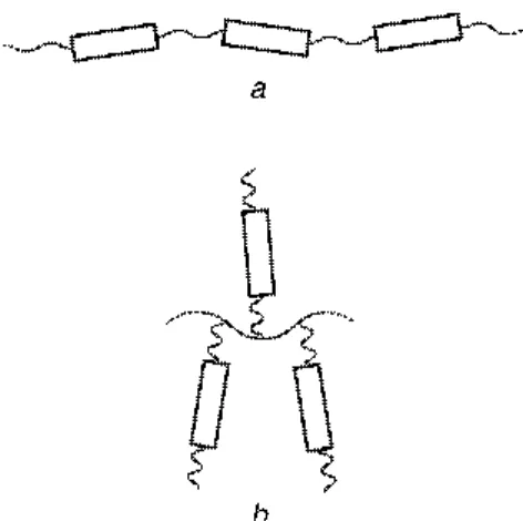 Figure 1. (a) Polymère linéaire (b) polymère en peigne. 