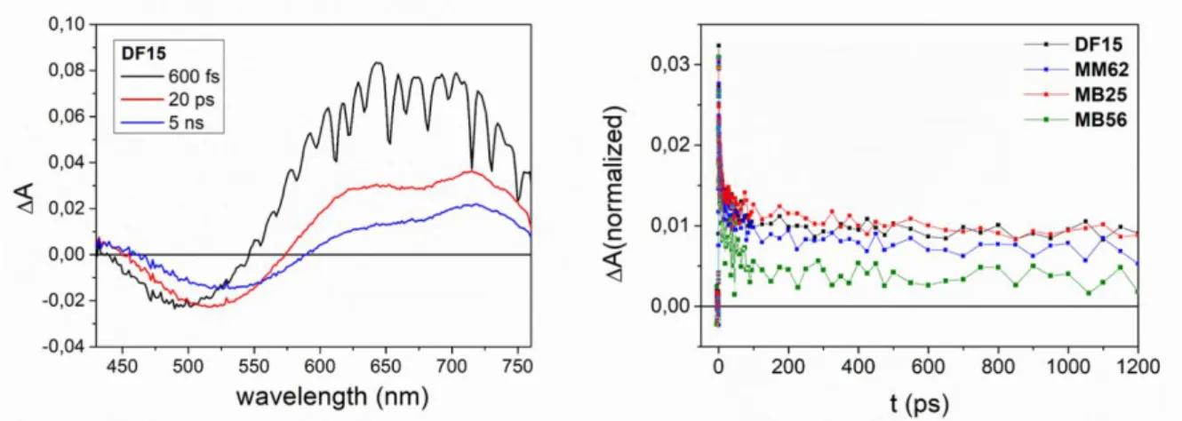 Figure 5 (à gauche) Exemple de spectre EDAS enregistré pour le pigment DF15 sur le film de TiO 2  et (à droite) comparaison entre les traces  cinétiques normalisées des spectres EDAS relatifs enregistrés à 720 nm pour les différents colorants
