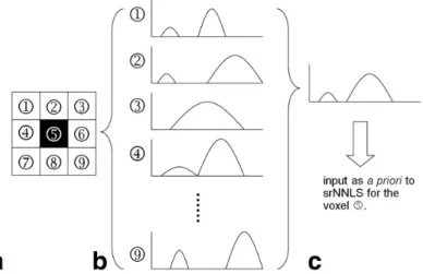 Figure 3.4 – Estimation de l’a priori p selon la méthode srNNLS. Après estimation des spectres en méthode rNNLS (a), les spectres (1-9) sont extraits d’une fenêtre (b) puis moyennés (c).