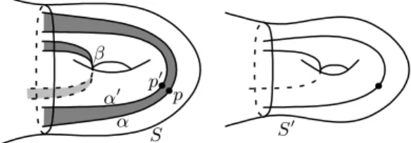 Figure 1. Bandelettes dans une surface hyperbolique.