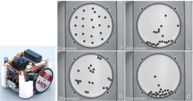 Figure 3.5 – An Alice robot with his three infrared sensors pointing forward (there is also one in the back)