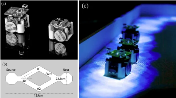 Figure 3.7 – The Alice light trail experiments: (a) An Alice equipped with two photosensors that can detect independently light intensity (similar to the two ant antennas that detect pheromone  concentra-tion), (b) the simple experimental setup used, with 