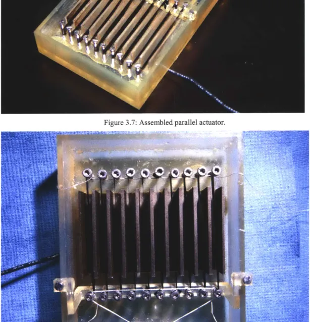 Figure  3.8:  Assembled polymer  samples and  counter-electrode  in parallel  actuator.