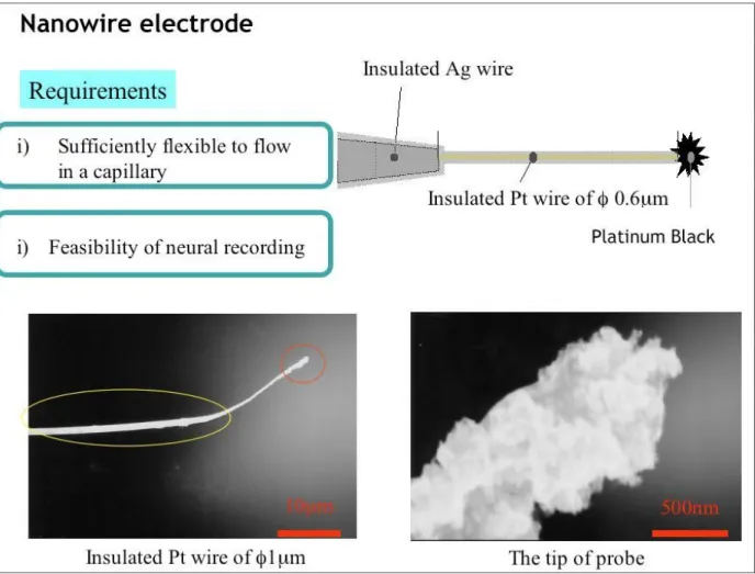 Figure 2:  The first electrode system used by the Llinas group to demonstrate intravascular neural recording