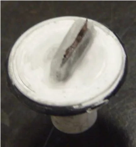 Figure 5:  Mounted ice block  with embedded polypyrrole film.