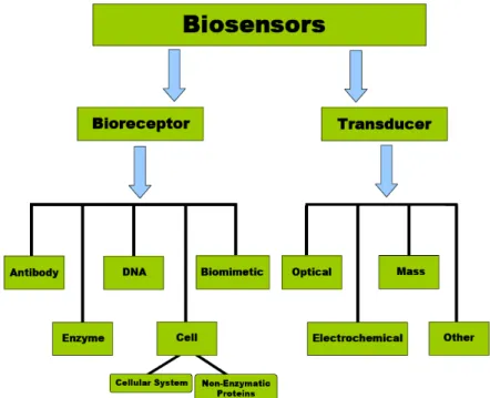Figure 1.3: Biosensors’ classification with respect to categories of bioreceptors and transduction  principles 