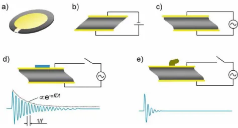 Figure 1.8: Schematic presentation of the QCM-D working principle. The piezoelectric quartz crystal  is sandwiched between two gold electrodes (a)
