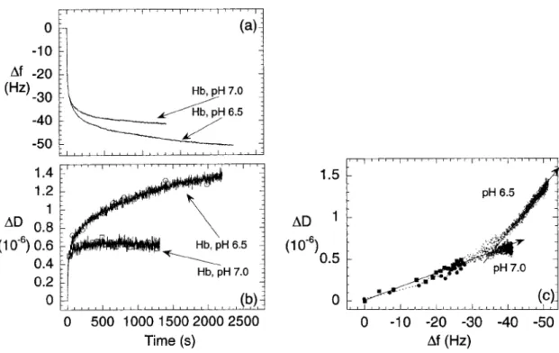 Figure 1.9: (a, b) Δf vs t and ΔD vs t for the adsorption of Hb on the hydrophobic surface at pH 6.5  and 7.0