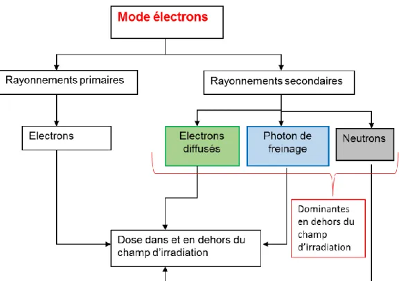 Figure 1-12 : représentation schématique des différentes composantes des rayonnements constituant le  faisceau d’électron produit par l’accélérateur linéaire