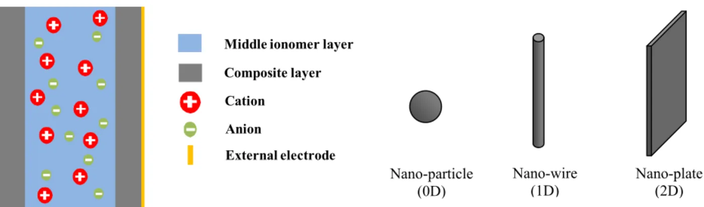 Figure 1. Schematic drawing of general structure of ionic devices such as batteries, ultracapacitors,  fuel cells and actuators, with three different shapes of electronic conductors in composite electrodes