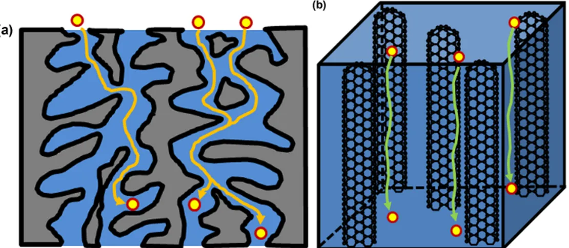 Figure 3. (a) Schematic drawing of tortuous ion transport paths in nanoparticle/Nafion CNCs