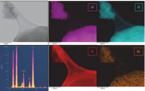 Figure 6. EDX-HRTEM analysis of the brominated BTSEENE-based PICPMO. 