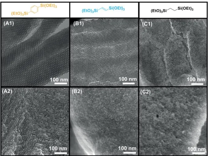 Figure 1. TEM (top row) and SEM (bottom row) micrographs of the BTEB-based PICPMO (A1, A2) BTSEENE- BTSEENE-based PICPMO (B1, B2) and BTSE-BTSEENE-based PICPMO (C1, C2)