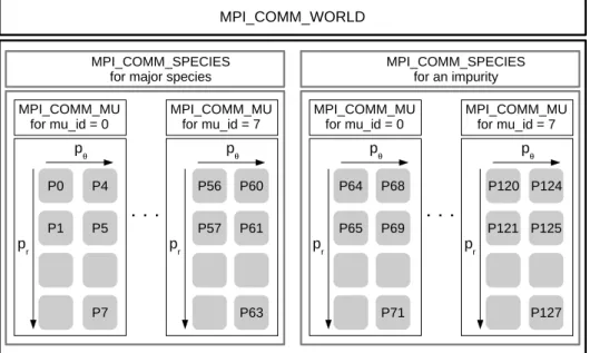 Figure 3.1: MPI COMM WORLD communicator decomposition for two species, 8 values of µ, p r = 4 radial sub-domains and p θ = 2 sub-domains in the poloidal direction