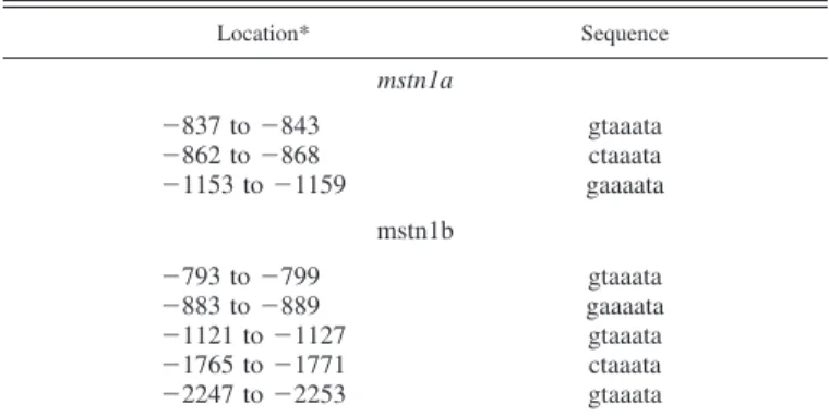 Fig. 1. Effect of insulin-like growth factor-I (IGF-I) on the protein kinase B (Akt)-forkhead box O (FoxO) signaling pathway in primary culture of trout muscle cells