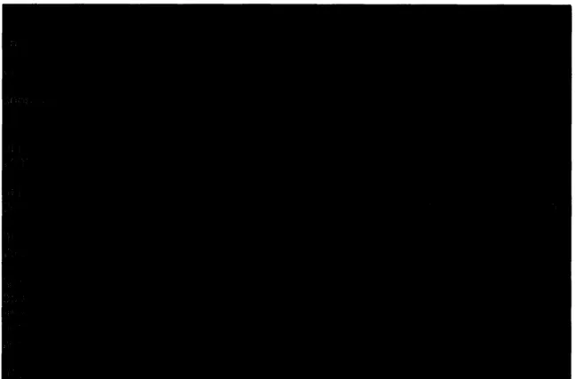 Figure  8.  Dandy,  a configuration  program  for the  CU.