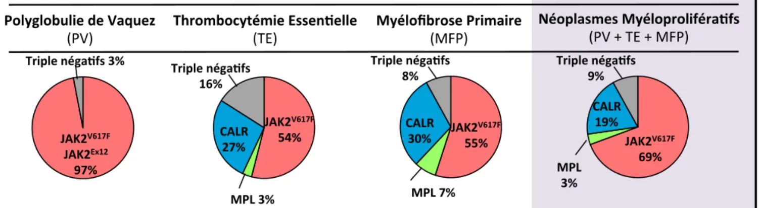 Figure  5.  Répartition  des  mutations  motrices  dans  les  différents  néoplasmes  myéloprolifératifs  classiques  et  négatifs pour BCR-ABL