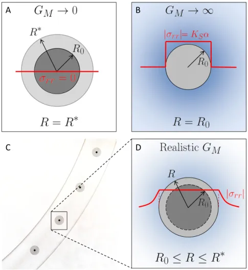 Fig. S2. Schematic representation of volume expansion and stresses in spheres homogeneously solidifying in different matrices