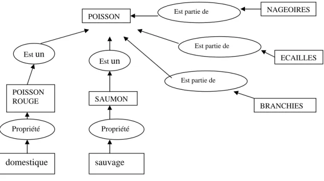 Figure 8 : Extrait du réseau ontologique de « poisson » (d’après Otman, 1996, 56)  Ces représentations partagent au moins trois constantes : 