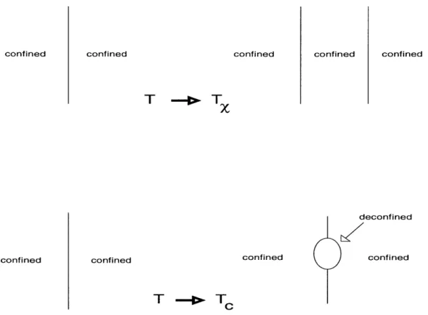 Figure  2-6:  Possible alternatives for the  phase transitions: (a)  Tx  &lt;  T,  - a  domain wall between  confined,  chirality broken phases is  completely  wet  by  a film  of confined, chirality restored phase (b)  T, &lt;  Tx  - the  domain wall is i