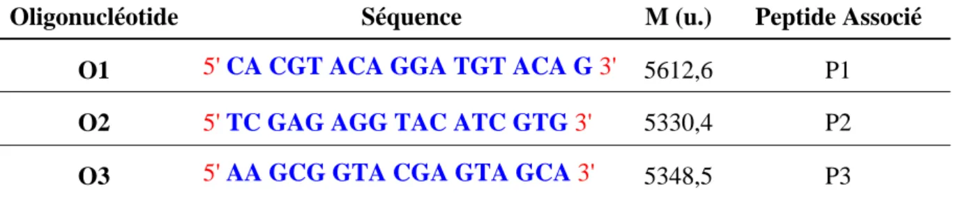 Tableau 9 : Séquences oligonucléotidiques utilisées pour la synthèse des trois oligopeptides  avec les masses correspondantes 