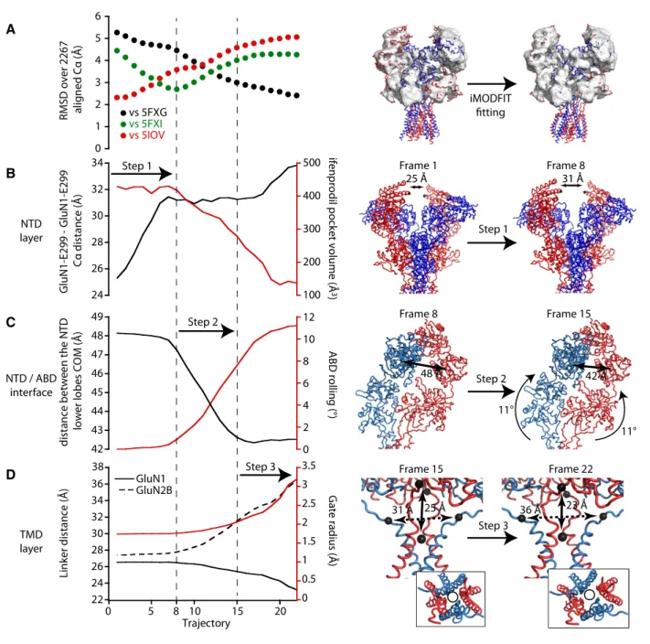 Figure 4 . Rolling mediates inter-layer coupling and facilitates pore opening.