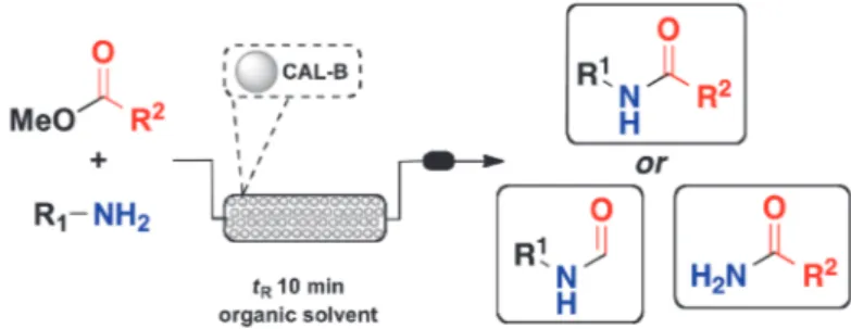 Table 1. CAL-B-catalyzed aminolysis reaction under batch conditions a