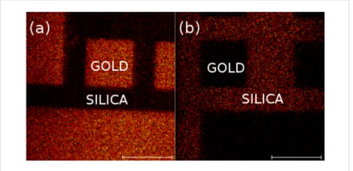 Figure 4: ToF–SIMS fluorine mapping of patterned gold on silica surfaces, orthogonally functionalized with F-thiol + PEG/Si (a) and F-silane + MUA (b)