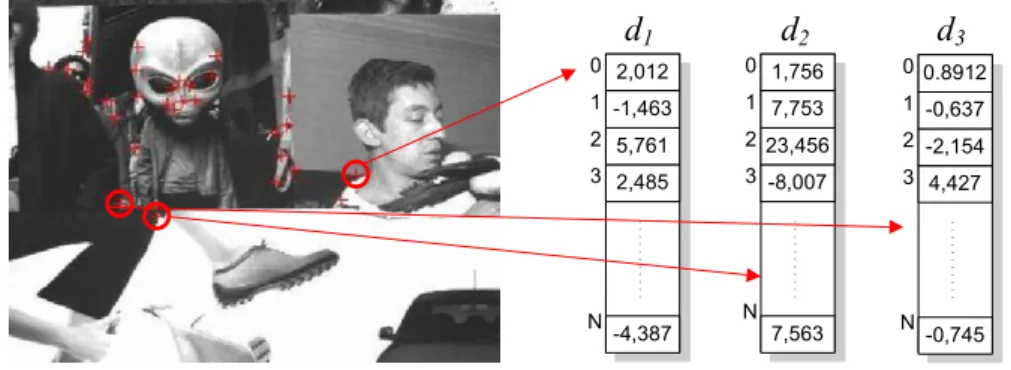 Figure 2.5.: Local descriptors are constructed from interest points of the image 2.2.1