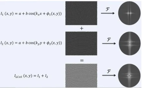 Figure 3.12. La fonction d’intensité est une fonction sinusoïdale de modulation avec une porteuse et une phase qui déforme la  porteuse, sa transformée de Fourier est à droite